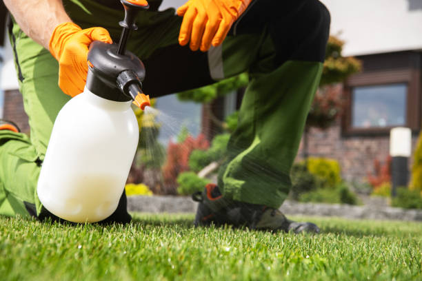 Best Best Pest Control Companies  in Flat Rock, MI
