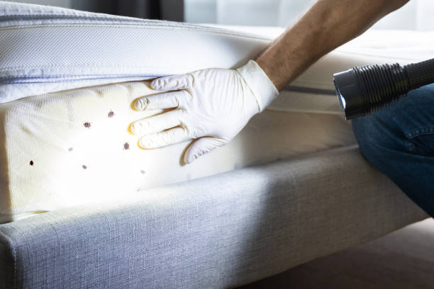 Best Termite Control Services  in Flat Rock, MI