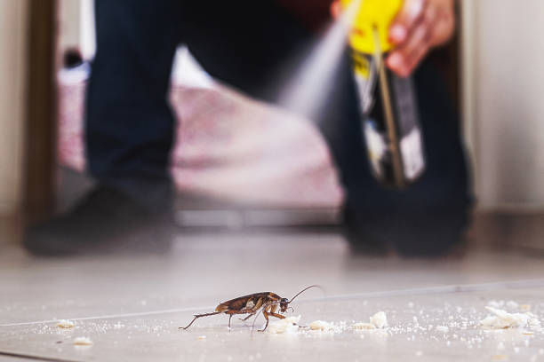 Best Wildlife Control Services  in Flat Rock, MI