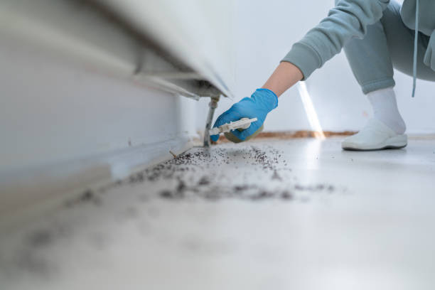 Best Cockroach Control Services  in Flat Rock, MI